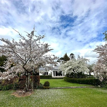 Bed and Breakfast Whiteacres Інверкаргілл Екстер'єр фото